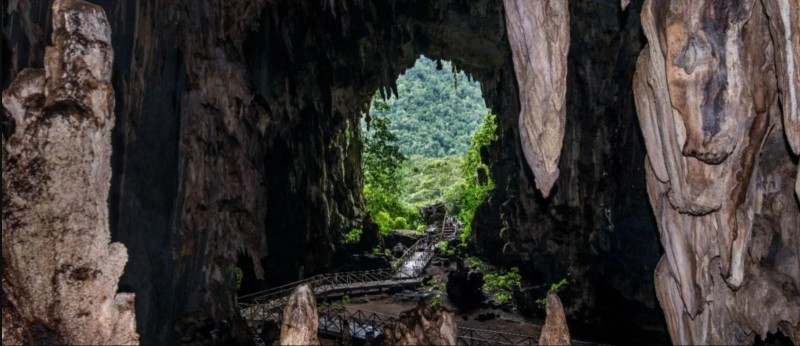 Parc Tingo Maria au Pérou