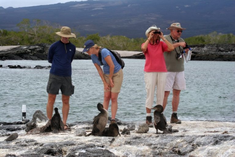 Gualapagos Tourisme écologique